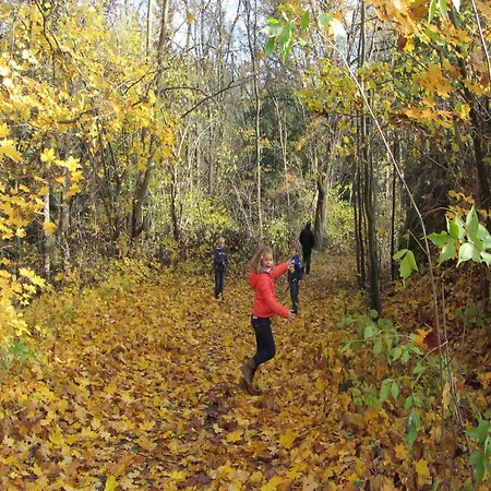 Near Slopes Stara Kamienica